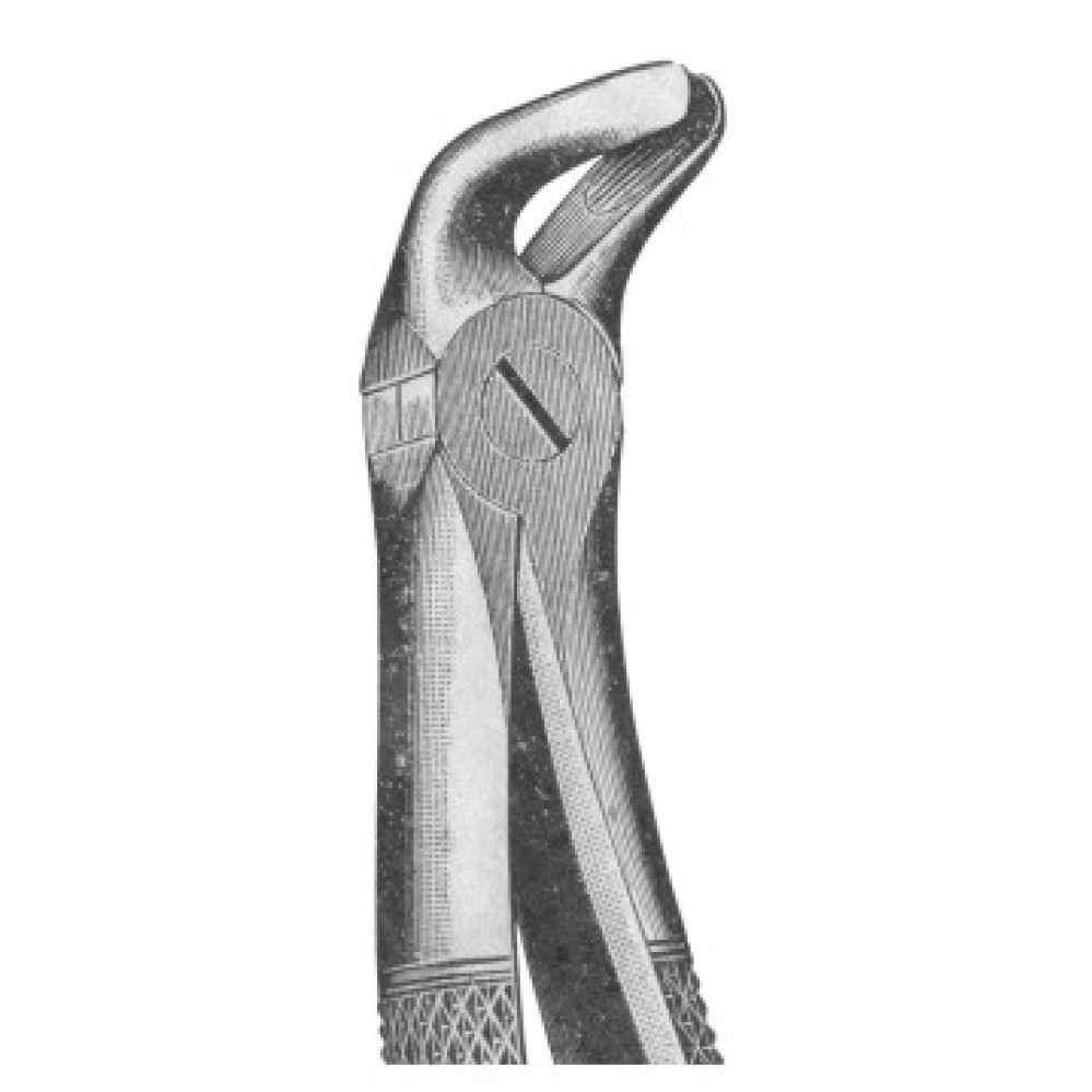 WG-1119
