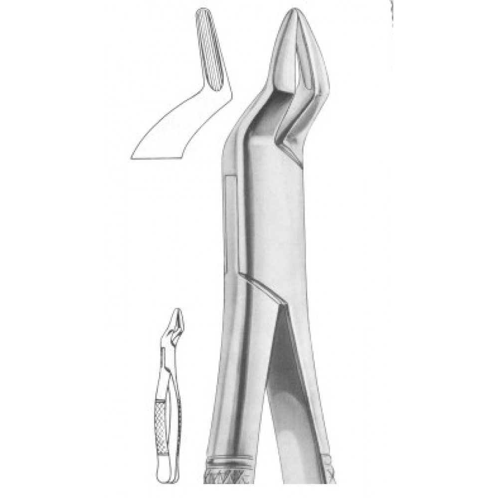 WG-1281