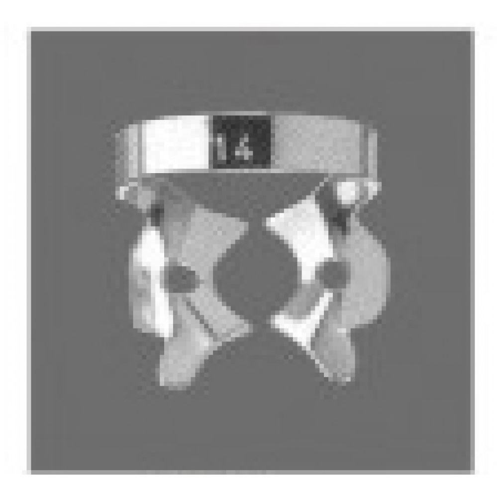 WG-2449